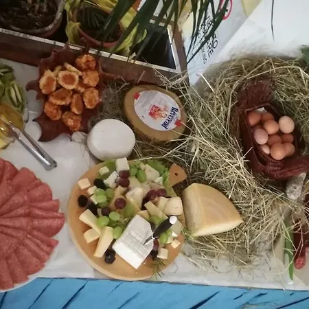 圣乔治酒店 3* 利尼亚诺萨比亚多罗